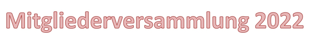 Banner MV2022